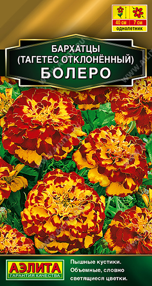 Бархатцы Болеро отклоненные однолетник 7шт (Аэлита)