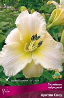 Лилейник Арктик Сноу 1шт (Поиск)