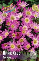 Анемона Пинк Стар 5/+ 10шт (Колорлайн)