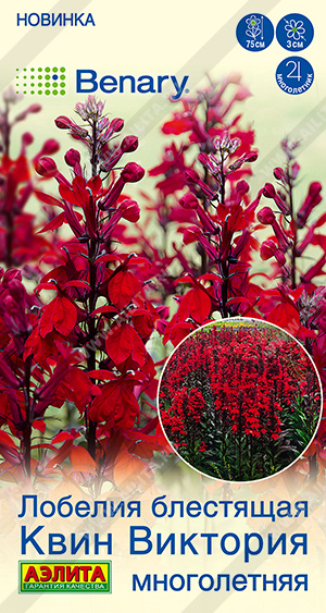 Лобелия Квин Виктория многолетняя 7шт (Аэлита)