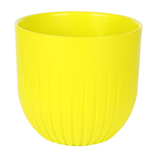 Альфа 4л Медовый (Ливингрин)(8шт)