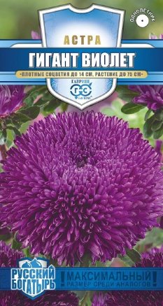 Астра Гигант Виолет Русский богатырь однолетник  0,05г (Гавриш)