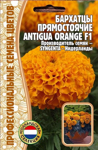 Бархатцы Antigua Orange F1 однолетник 5шт (Ред.Сем)