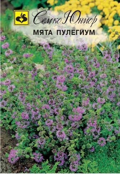 Мята Пулегиум 0,05г (Семко)