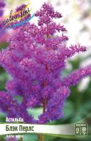 Астильба Блэк Перлс 2/3 1шт (Колорлайн)