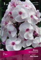 Флокс Айс Крим 1шт (Поиск)