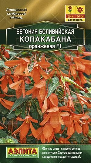 Бегония Копакабана Оранжевая (Аэлита) Бегония Копакабана Оранжевая (Аэлита)