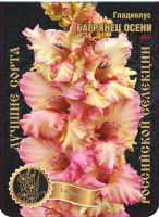 Гладиолус Багрянец Осени 425,Васильев 1 р-р 7шт (Ф)