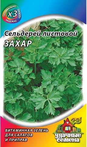 Сельдерей Захар листовой ХИТ 0,1г (Гавриш)