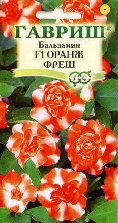 Бальзамин Уоллера F1 Оранж фреш однолетник 4шт (Гавриш)