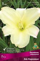 Лилейник Айс Карнавал 1шт  (Поиск)