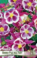 Аквилегия Винки Рэд энд Уайт 2шт (Колорлайн)