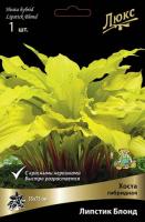 Хоста Липстик Блонд 1шт (Поиск)