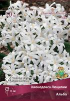 Хионодокса Люцили Альба 5/6 10шт (Поиск)