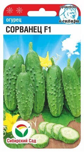 Огурец Сорванец F1 7шт (Сиб сад)