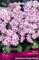 Флокс Бамбини Кэнди Краш 1шт (Поиск)