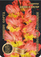 Гладиолус Дживс и Вустер 525,Фотин Экстра 7шт (Ф)