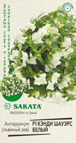 Львиный зев (Антирринум) Кэнди Шауэрс белый F1 серия SAKATA 3шт (Гавриш)