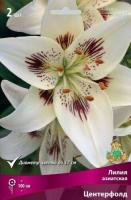 Лилия Центерфолд (Азиатская/Биколор) 12/14 3шт (Поиск)