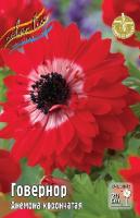 Анемона Говернор 5/6 10шт (Колорлайн)