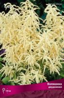 Волжанка двудомная 1шт (Поиск)