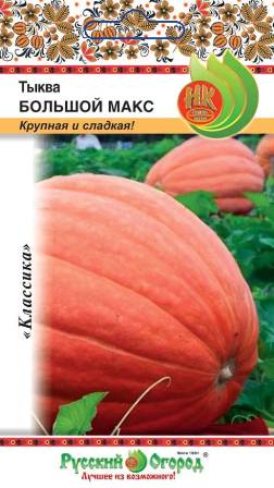 Тыква Большой Макс 1г (НК) Тыква Большой Макс 1г (НК)