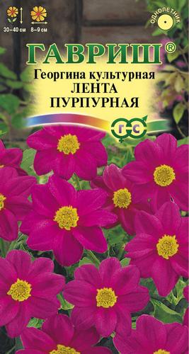 Георгина Лента пурпурная однолетник 0,2г (Гавриш) Георгина Лента пурпурная однолетник 0,2г (Гавриш)