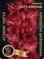 Гладиолус Все в Шоколаде 496,Фотин 1 р-р 7шт (Ф)