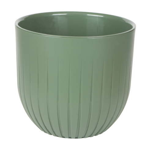 Альфа 6л Нефрит (Ливингрин)(4шт)