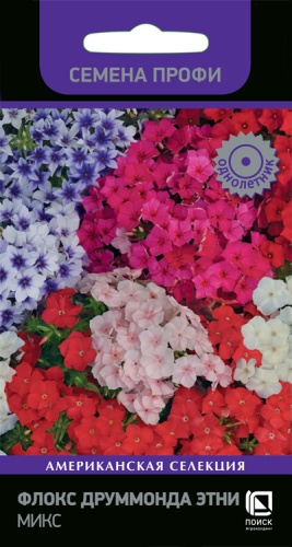 Флокс Друм Этни Микс Профи однолетник 10шт (Поиск)