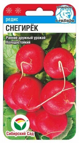 Редис снегирек. Редис синий иней сибирский сад. редис сибирский сад. семена редиса сибирский сад.