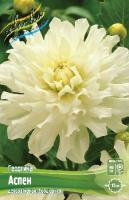 Георгина Аспен 1шт (Колорлайн)