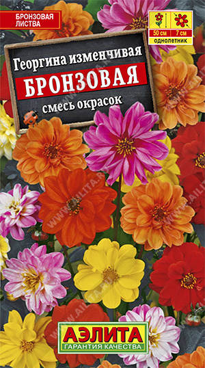 Георгина Бронзовая смесь однолетник 0,3г (Аэлита) Георгина Бронзовая смесь однолетник 0,3г (Аэлита)