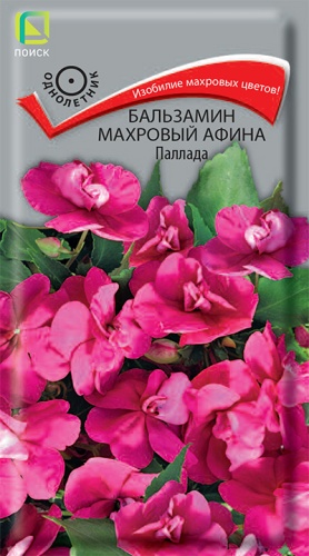 Бальзамин АФИНА Паллада махровый однолетник 5шт (Поиск)