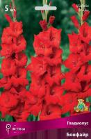 Гладиолус Бонфайр 12/14 5шт (Поиск)