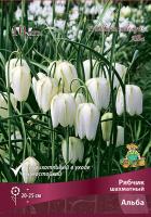 Рябчик Шахматный Альба 6/+ 10шт (Поиск)