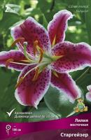 Лилия Старгейзер (Восточный гибрид) 12/14 3шт (Поиск)