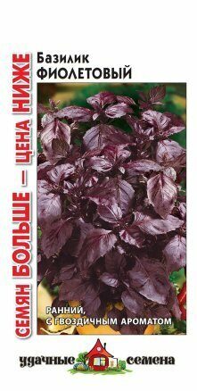 Базилик Фиолетовый  семян БОЛЬШЕ Удачные семена 0,2г (Гавриш)