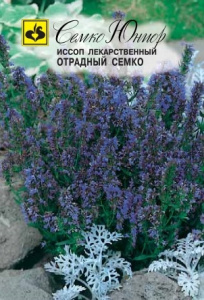 Иссоп Отрадный Семко 0,2г (Семко)
