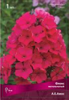 Флокс А.Е.Амос 1шт (Поиск)