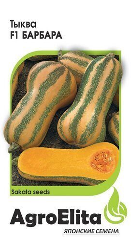 Тыква Барбара F1 мускатная 5шт (Агроэлита) Тыква Барбара F1 мускатная 5шт (Агроэлита)