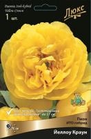 Пион Йеллоу Краун (ИТО) 2/3 1шт (Поиск)