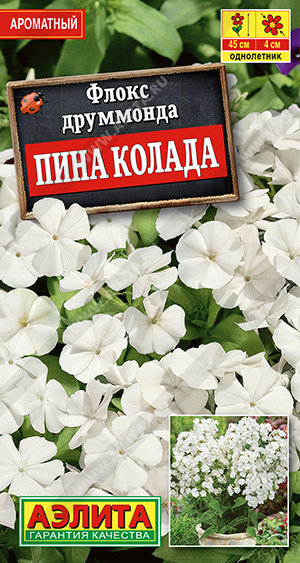 Флокс Друм Пина колада 0,2г (Аэлита)