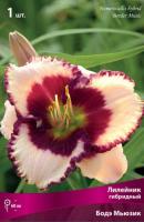 Лилейник Бодэ Мьюзик 1шт (Поиск)