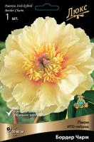 Пион Бордер Чарм (ИТО) 3/5 1шт (Поиск)