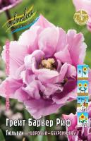 Тюльпан Грейт Барьер Риф 11/12 7шт (Колорлайн)