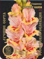 Гладиолус Алишер Навой 403,Крашенинников Экстра 7шт (Ф)