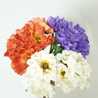 Букет Мак махровый SBPL2025-25 5шт 30см (СС)