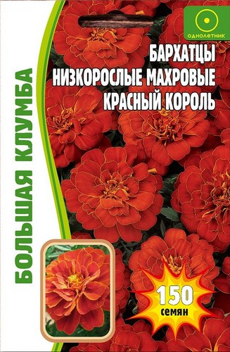 Бархатцы Красный король низкорослые Большая клумба однолетник100шт (Ред.Сем)