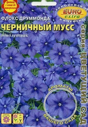 Флокс Друм Черничный мусс однолетник 0,1г (АэлитаЭкстра)